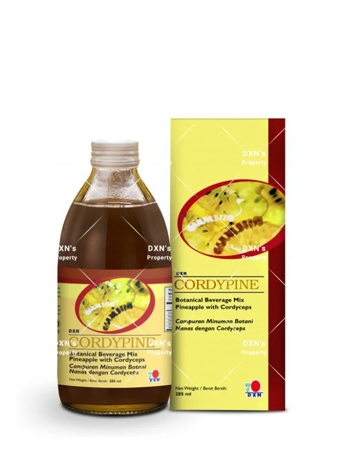DXN Cordypine كورديباين