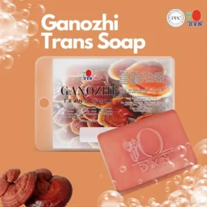 صابون غانوزي الشفاف (DXN Ganozhi Trans Soap)